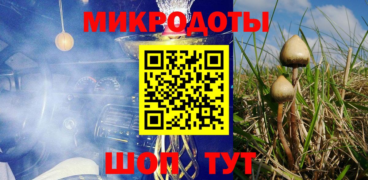 Псилоцибиновые грибы Psilocybine cubensis  Псилоцибиновые грибы MAGIC MUSHROOMS  магазин продажи   Вход с VPN  Каменск-Шахтинский 